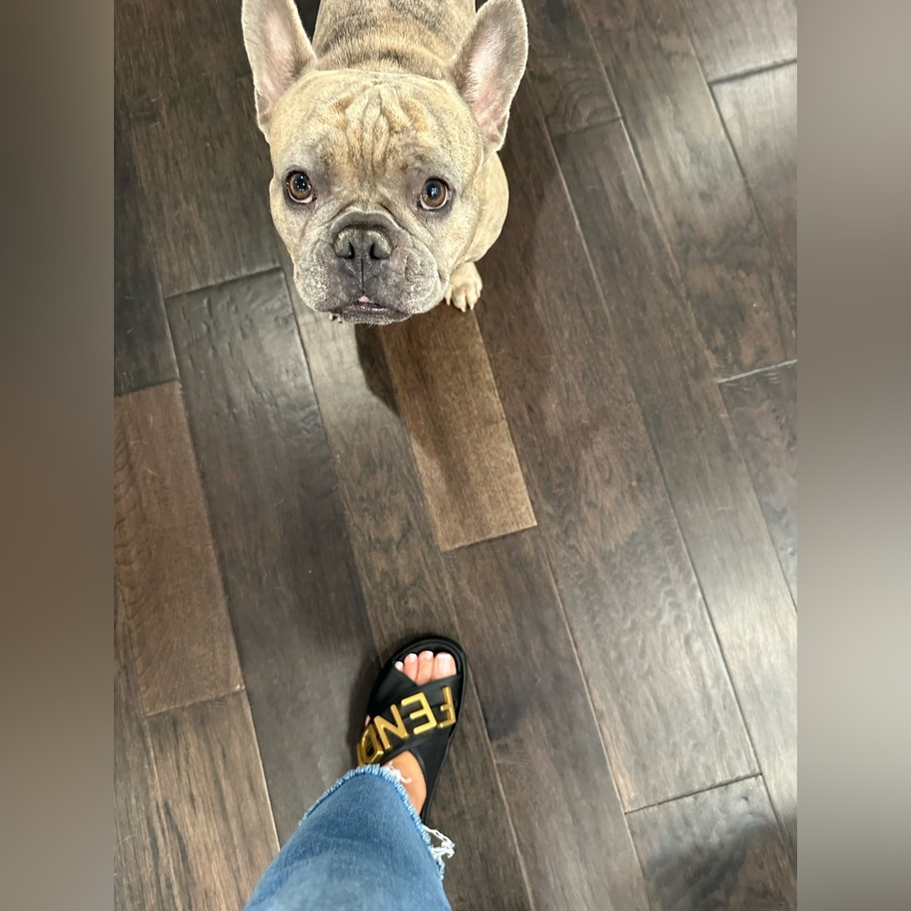 Fendi slides from Neiman Marcus current style